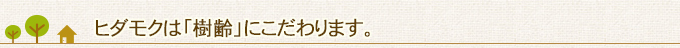 ヒダモクは「樹齢」にこだわります。