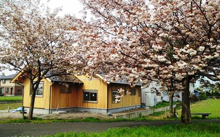 桜並木と木の家